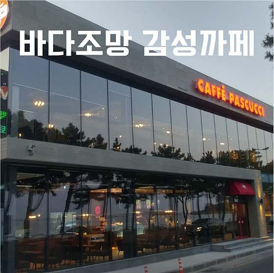파스쿠찌 진하비치점 사진