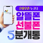 선불폰114