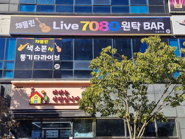 채플린7080통기타n색소폰 라이브