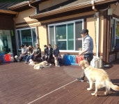 ATS반려동물훈련학교