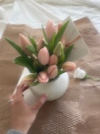꼬모플레리