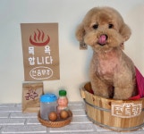 울산제이앤독애견샵