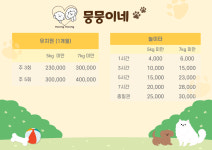 뭉뭉이네 애견유치원&호텔 놀이터