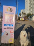 멈무는하루 애견유치원