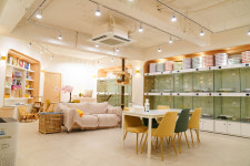 고양이분양 전문 달루나캣츠 마포점