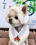 딩그루밍