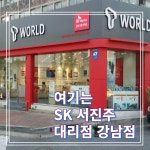 SK텔레콤 서진주대리점 강남점