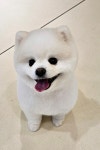 운정멍발소