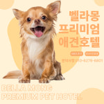 벨라몽 애견호텔