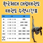 한국체대대림태권도장