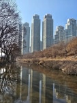 강남끌림공인중개사사무소