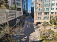 으뜸단지내상가공인중개사사무소