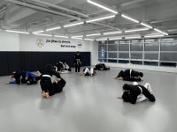 존프랭클 주짓수 다사 JOB