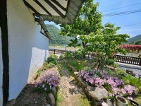 느린오후가있는집