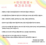 하이몽몽 애견유치원 애견카페 애견호텔