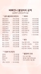삐삐언니