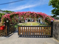 느린오후가있는집