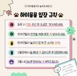 하이몽몽 애견유치원 애견카페 애견호텔
