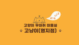 고양이무마취미용 고냥이