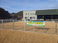 용복일오삼