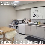 고양이무마취미용 고냥이