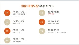 한솔태권도