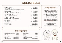 솔리스텔라 애견미용