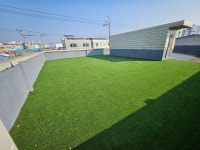 개인공간 애견유치원