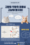고양이무마취미용 고냥이