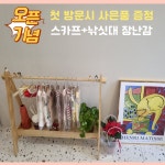 고양이무마취미용 고냥이