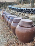 산골정