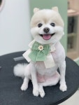 우리댕