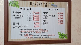 왕개미집