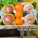 와이블랙마산진동점 | 달달팡팡&와이블랙