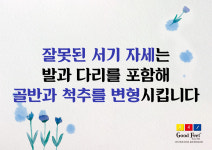 굿피트코리아 골든케어대리점