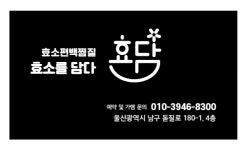 효소를담다, 효담