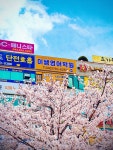 이쌤영어학원