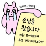 다우렌트카 동래영업소