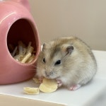 패러그린 영등포점