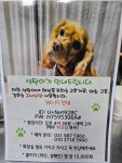석탄이네해산물포차