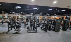 설레임휘트니스