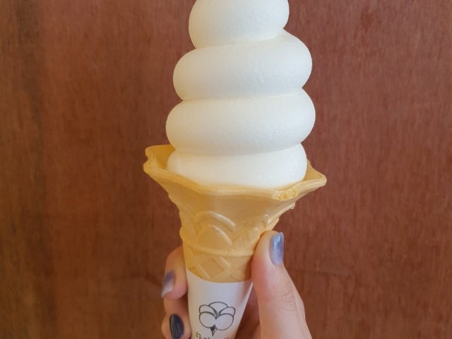 Cafe 리네아 하얀목화 근대역사관점