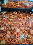 중앙수산