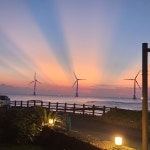 파르크제주