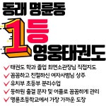 국가대표영웅태권도