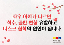 굿피트코리아 골든케어대리점