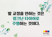 굿피트코리아 골든케어대리점