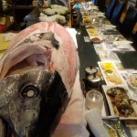 이승우참치