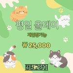 캠핑고양이 양재점