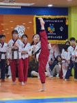 경희대원일태권도교육관